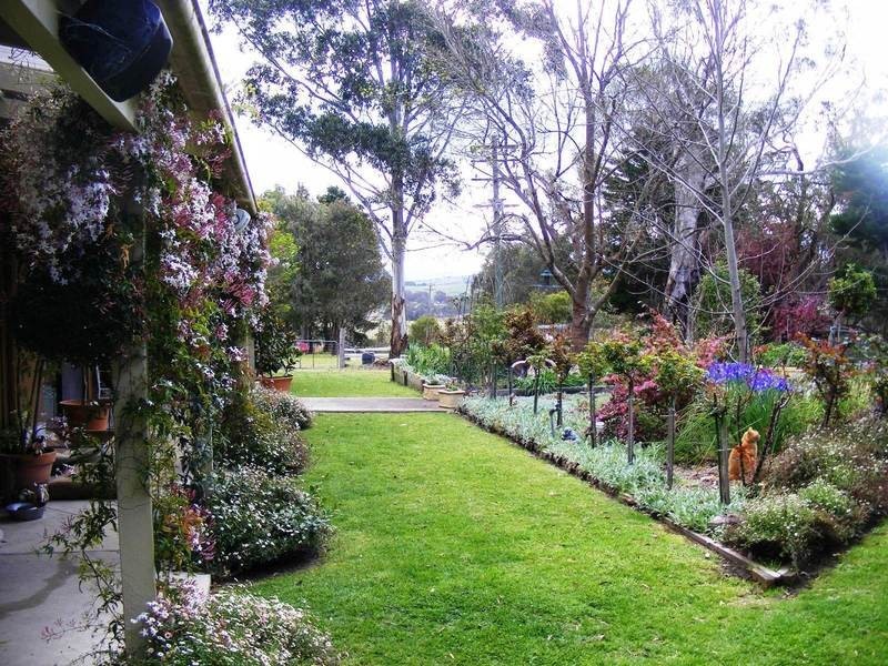 525  Candelo Wolumla Rd, Toothdale NSW 2550