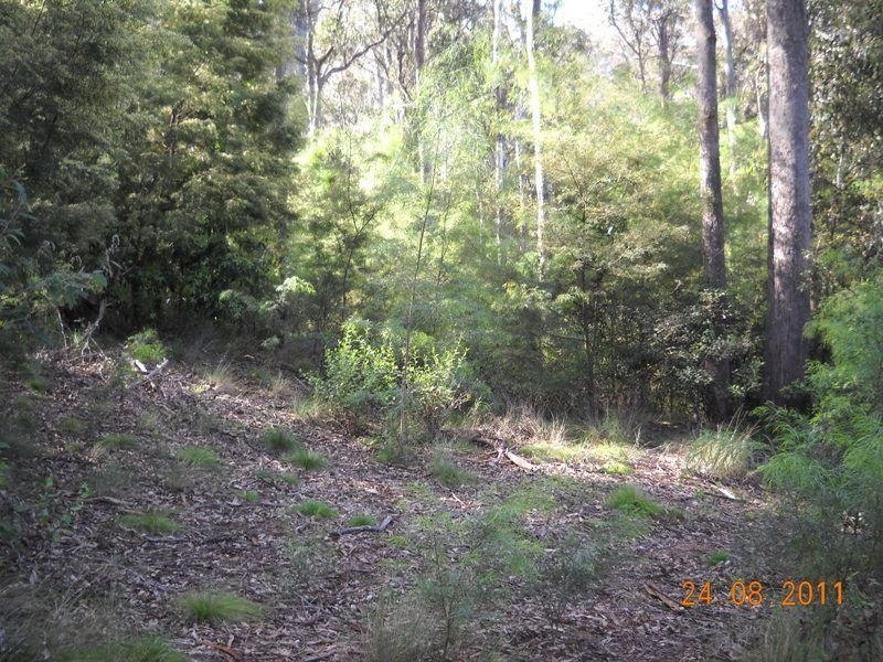 77 Ida Rodd Drive, Eden NSW 2551