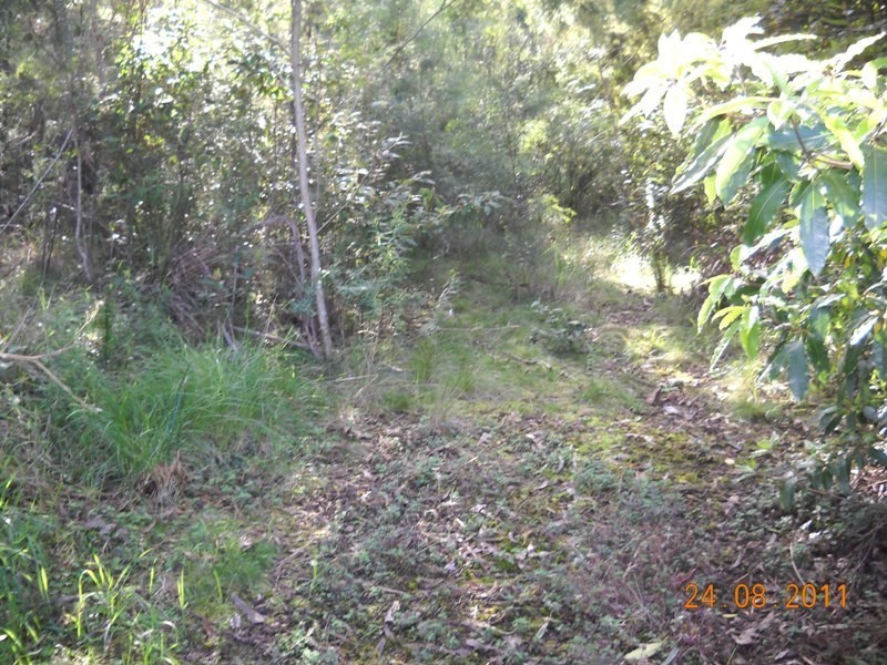 77 Ida Rodd Drive, Eden NSW 2551