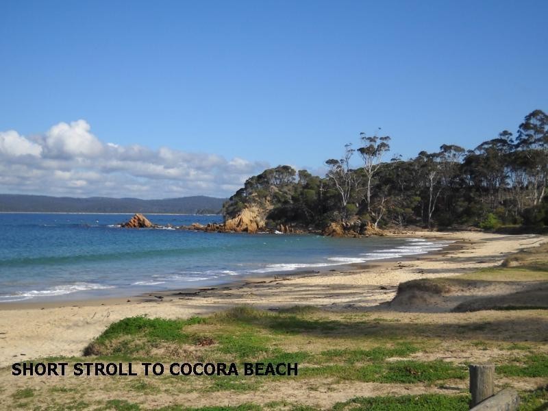 77 Ida Rodd Drive, Eden NSW 2551