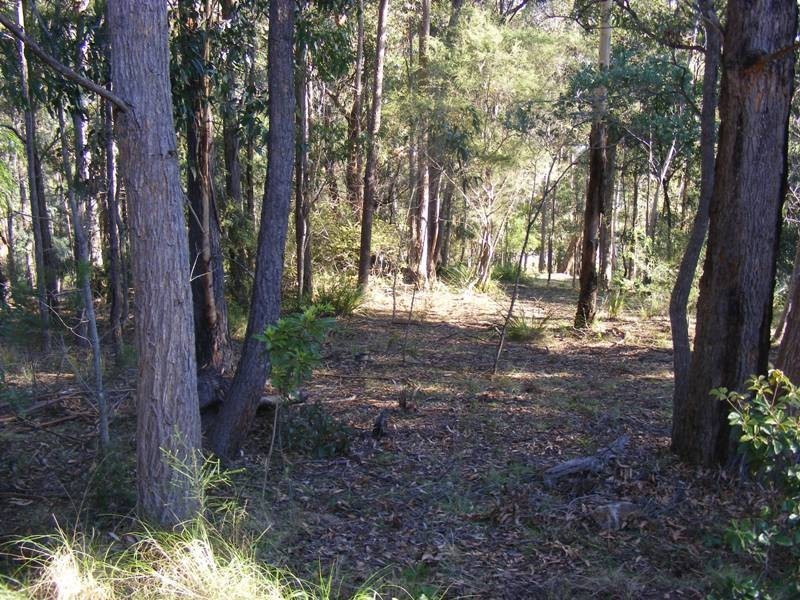 16 Timber Close, Kalaru NSW 2550