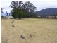 549 Yankee’s Gap Road, Bemboka NSW 2550