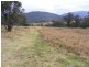 549 Yankee’s Gap Road, Bemboka NSW 2550