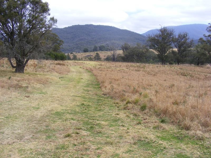549 Yankee’s Gap Road, Bemboka NSW 2550
