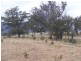 549 Yankee’s Gap Road, Bemboka NSW 2550