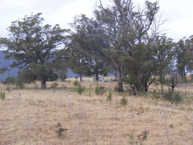 549 Yankee’s Gap Road, Bemboka NSW 2550