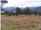 549 Yankee’s Gap Road, Bemboka NSW 2550