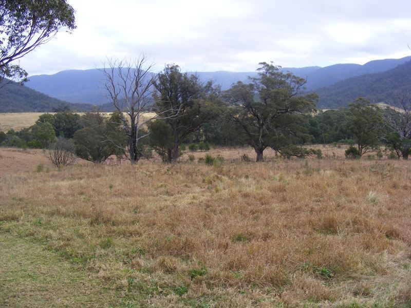 549 Yankee’s Gap Road, Bemboka NSW 2550