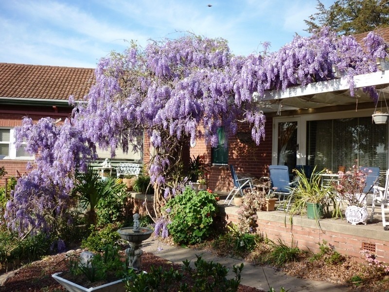 5 Belmore Street, Bega NSW 2550