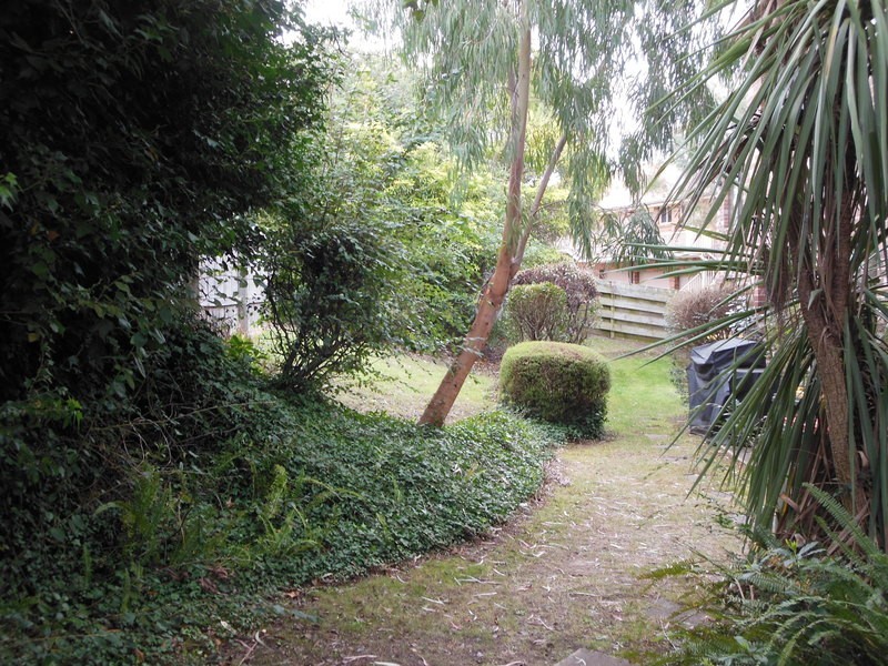 1/1 Wonga Street, Merimbula NSW 2548