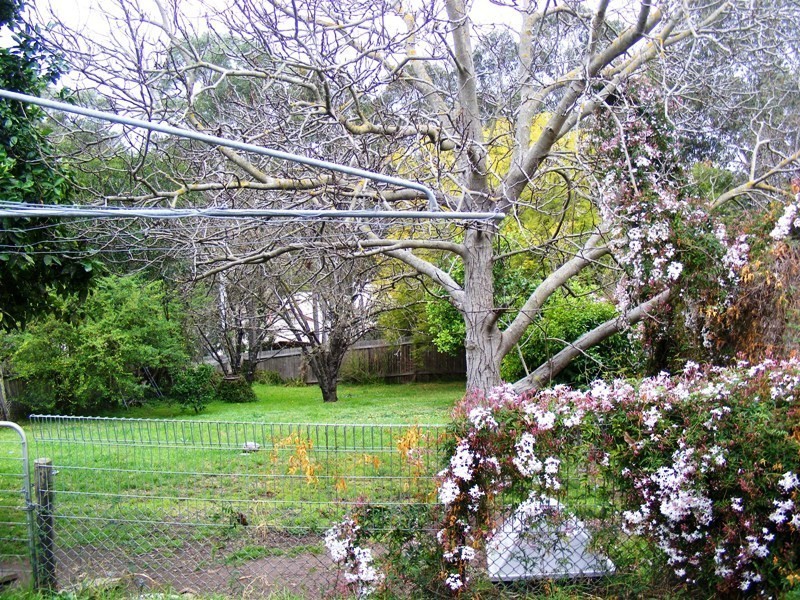 174 Newtown Road, Bega NSW 2550