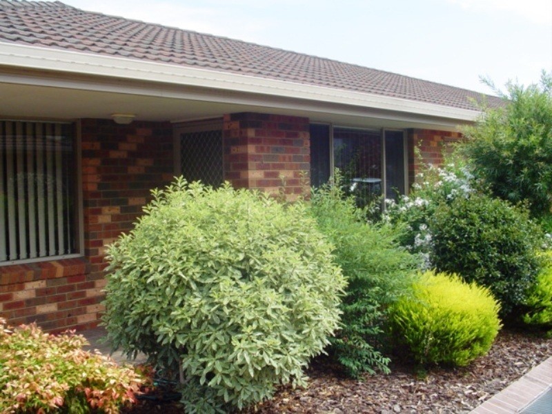 2/16 Little Bega St, Bega NSW 2550