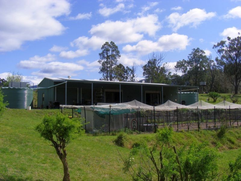 Lot 1, 490 Yankee Gap Road, Bemboka NSW 2550