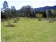 Lot 1, 490 Yankee Gap Road, Bemboka NSW 2550