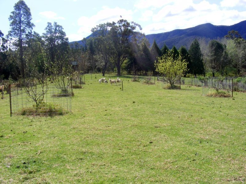 Lot 1, 490 Yankee Gap Road, Bemboka NSW 2550