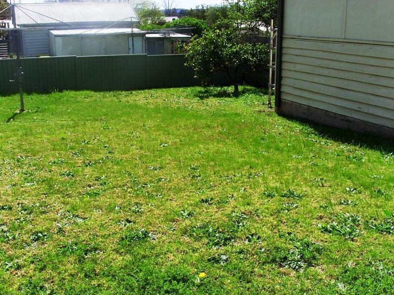 33 Carp St, Bega NSW 2550