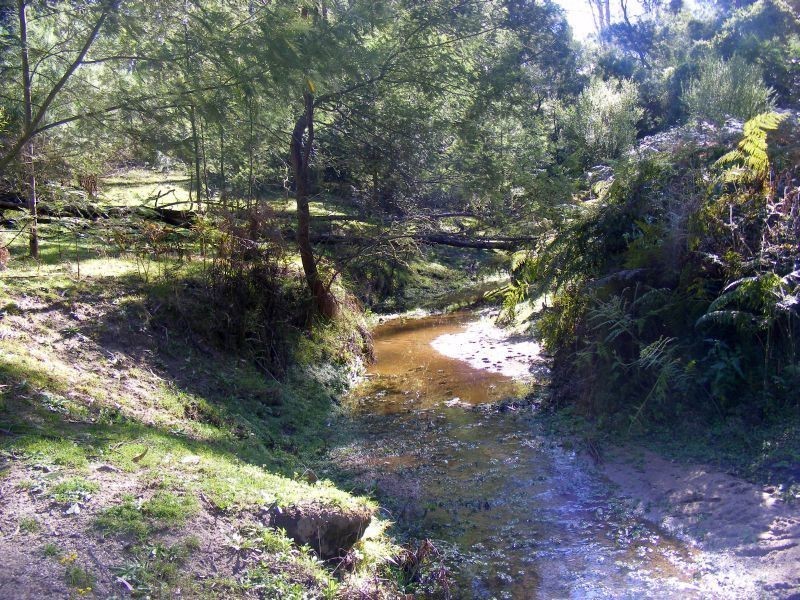 242 Stock Ridge Road, Brogo NSW 2550