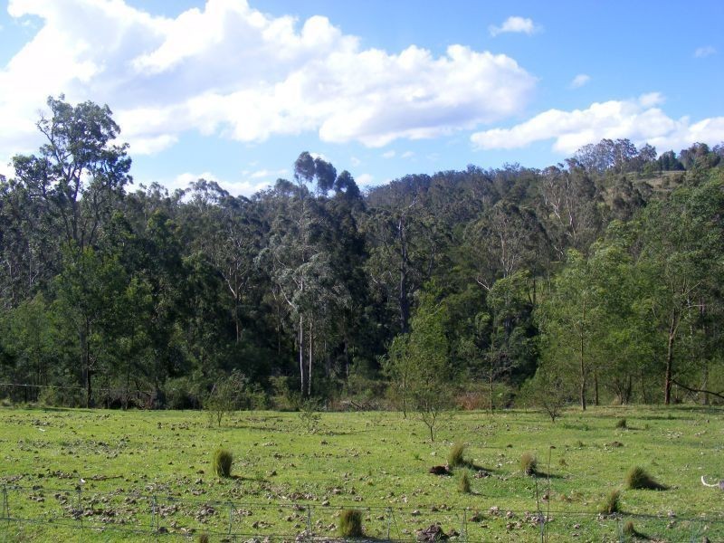 242 Stock Ridge Road, Brogo NSW 2550