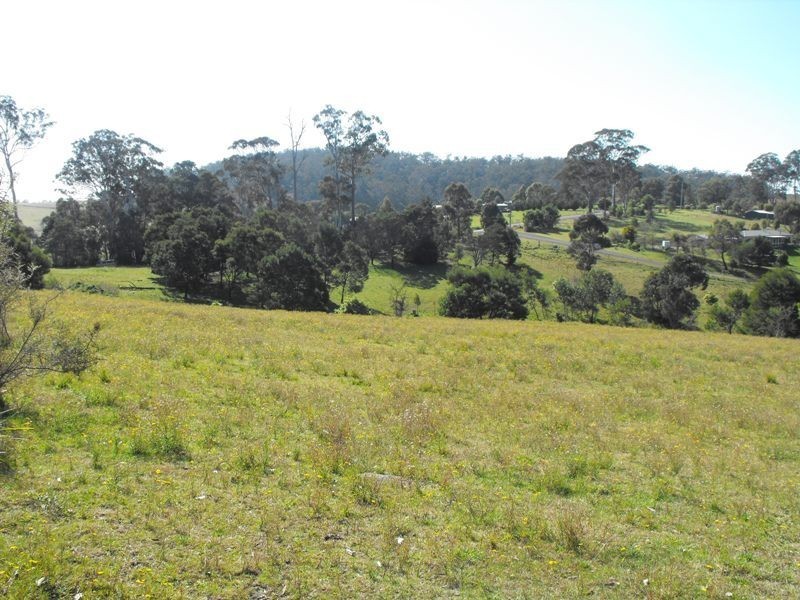 259 Bald Hills Road, Bald Hills NSW 2549