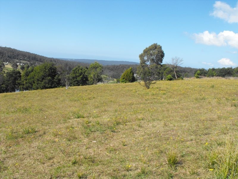 259 Bald Hills Road, Bald Hills NSW 2549