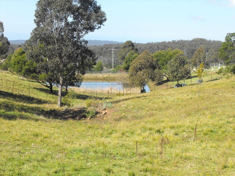 259 Bald Hills Road, Bald Hills NSW 2549