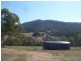 441 New Buildings Road, Wyndham NSW 2550