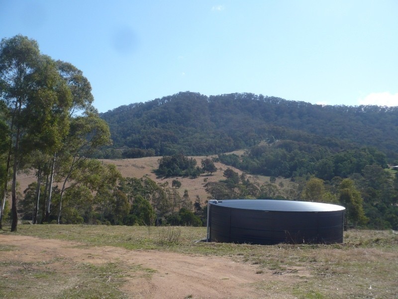 441 New Buildings Road, Wyndham NSW 2550