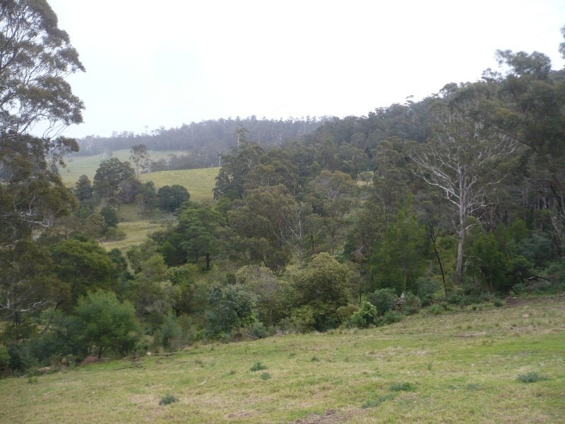 151 Woodlands Lane, Bald Hills NSW 2549