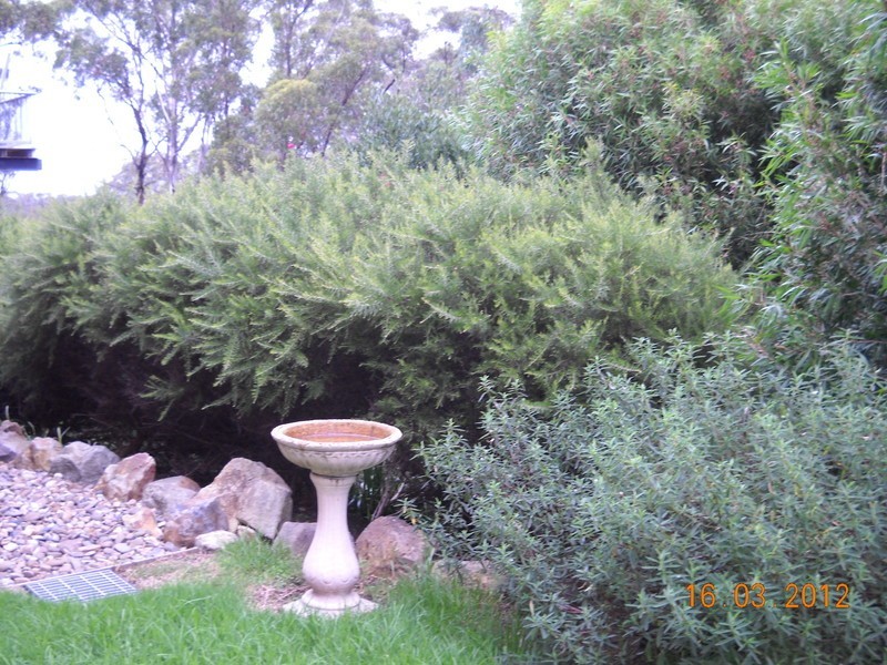 12 Bellevue Place, Eden NSW 2551