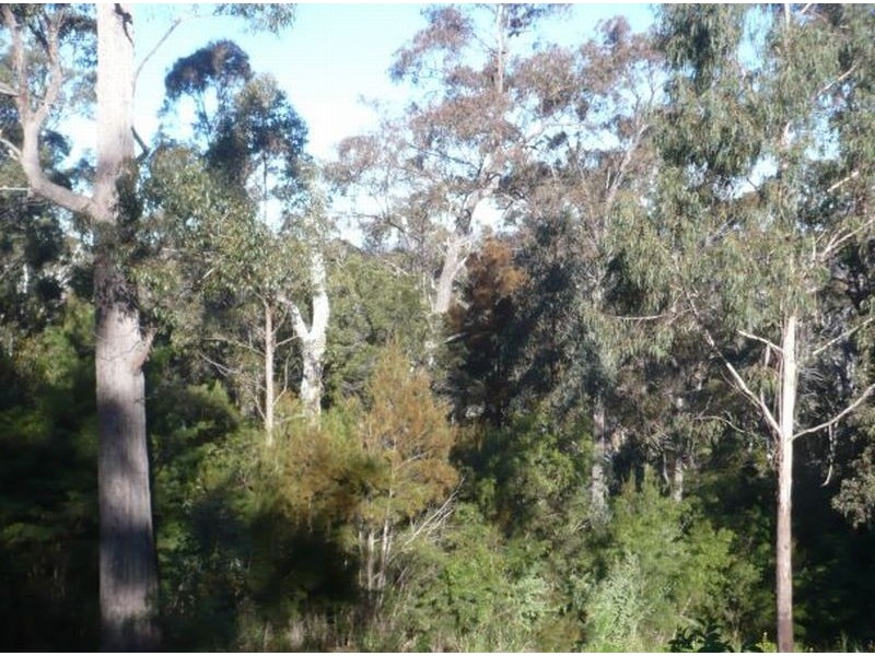 353  Oaklands Road, Pambula NSW 2549