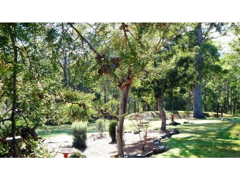 81  Dignams Creek Road, Tilba Tilba NSW 2546