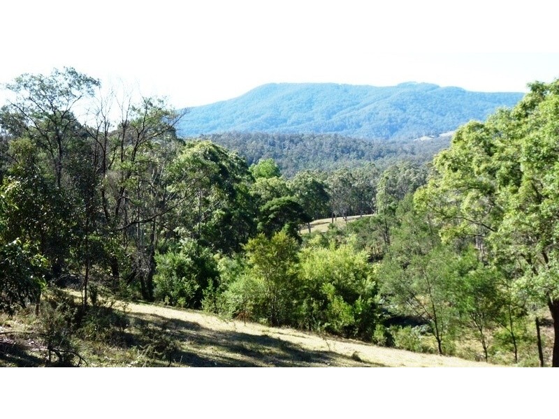 81  Dignams Creek Road, Tilba Tilba NSW 2546