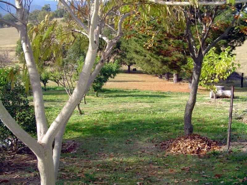 48 Robertson Street, Bemboka NSW 2550