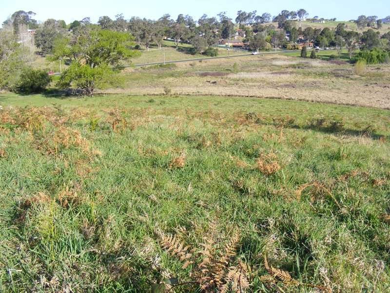 Lot 1 East Street, Bega NSW 2550