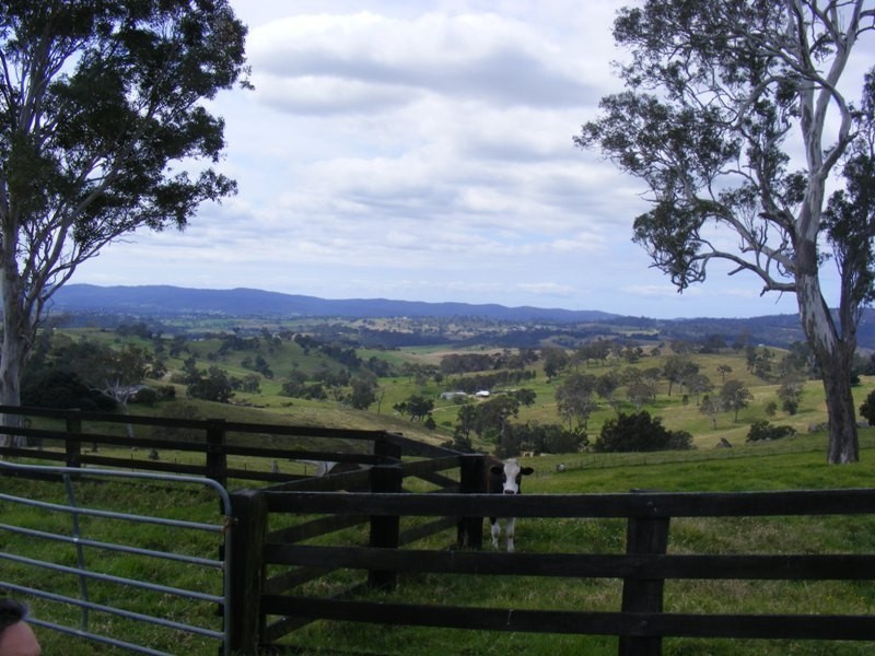 Lot 430 Brianderry Road, Buckajo NSW 2550