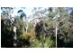 353 Oaklands Road, Pambula NSW 2549