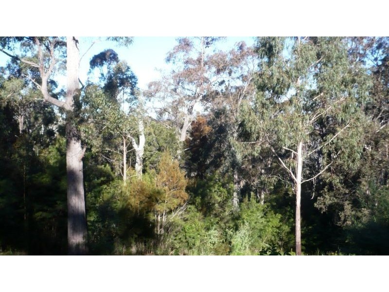 353 Oaklands Road, Pambula NSW 2549