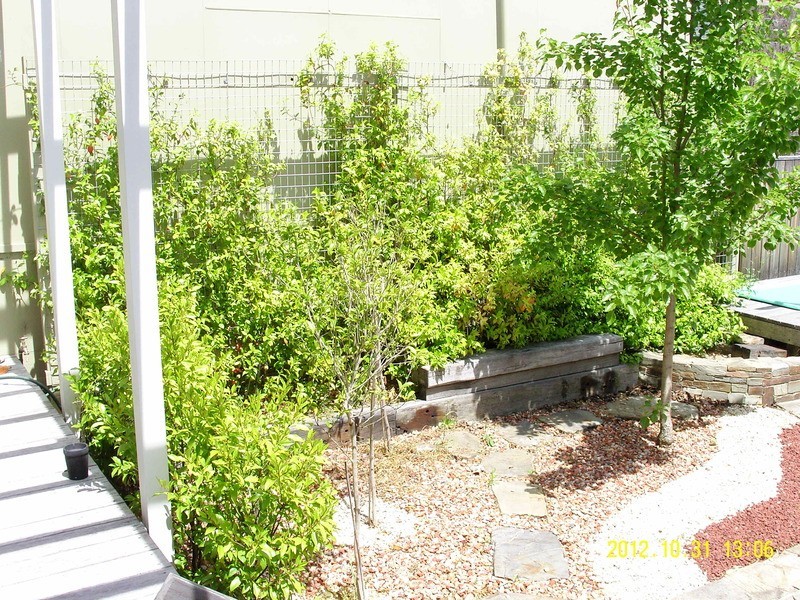 115A Gipps St, Bega NSW 2550