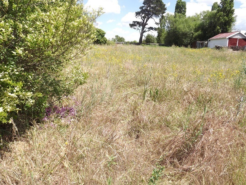 26  Boyd Street, Nimmitabel NSW 2631