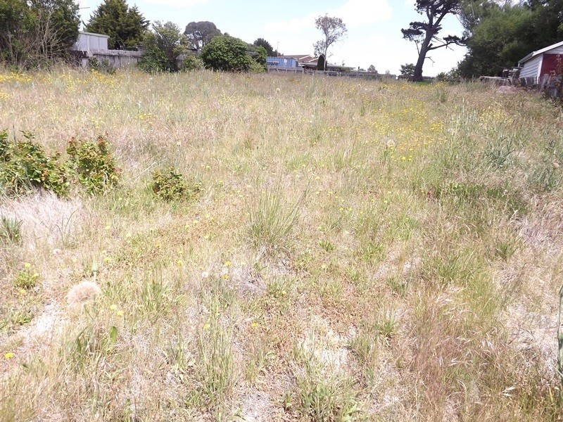 26  Boyd Street, Nimmitabel NSW 2631