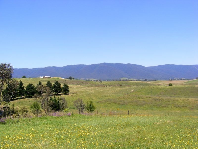 53 Parkes Street, Bemboka NSW 2550