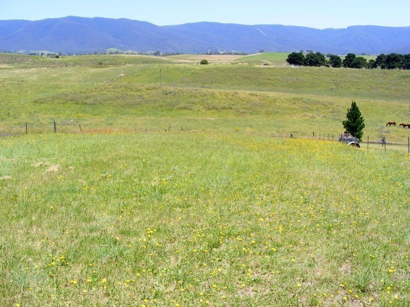 53 Parkes Street, Bemboka NSW 2550