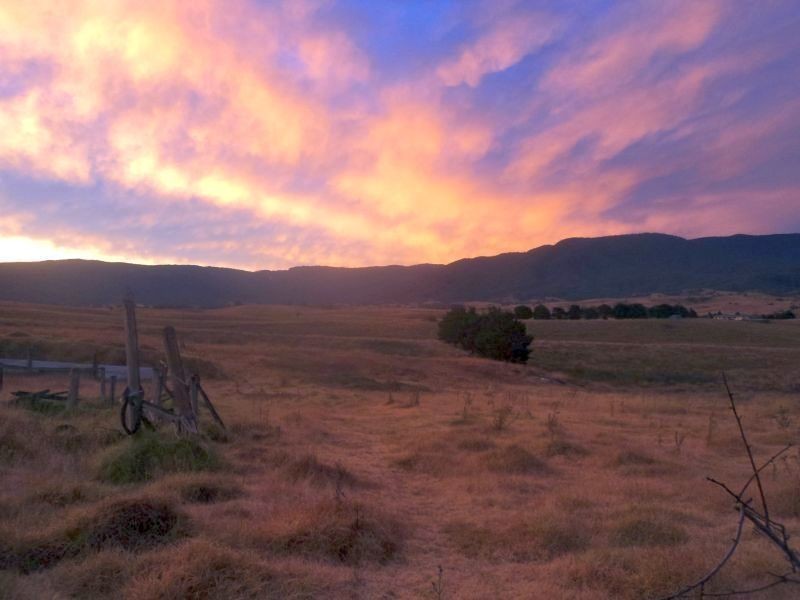 53 Parkes Street, Bemboka NSW 2550