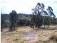 Lot 492  Snowy Mountains Highway, Numbugga NSW 2550