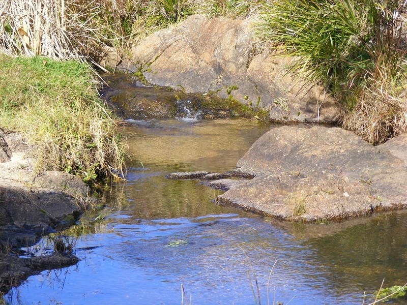Lot 492  Snowy Mountains Highway, Numbugga NSW 2550