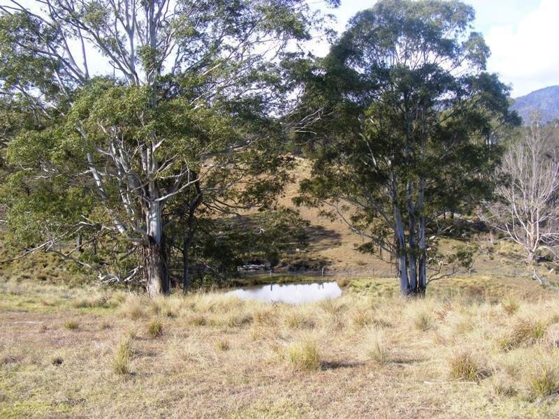 468 New Buildings Road, Wyndham NSW 2550