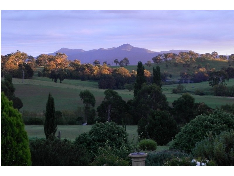 214 Slaters Lane, Candelo NSW 2550