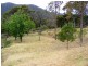 Lot 391  Gilberts Rd, Quaama NSW 2550