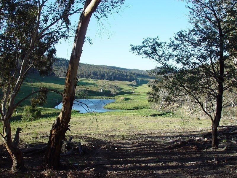 457 The Avenue off Kybeyan Road, Cooma NSW 2630