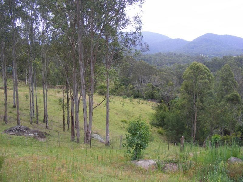 1160 Warrigal Range Road, Brogo NSW 2550